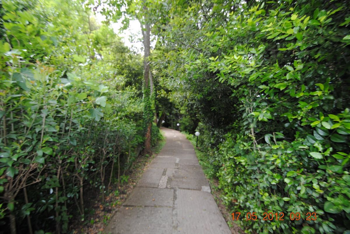 imagini hotel CORFU HOLIDAY PALACE